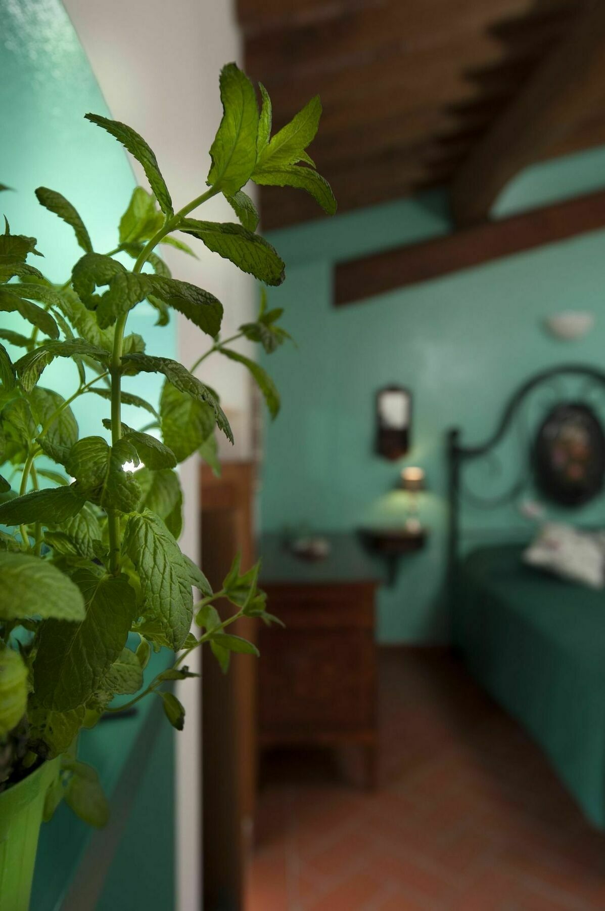 Bed and Breakfast Antico Granaione Rapolano Terme Exteriér fotografie