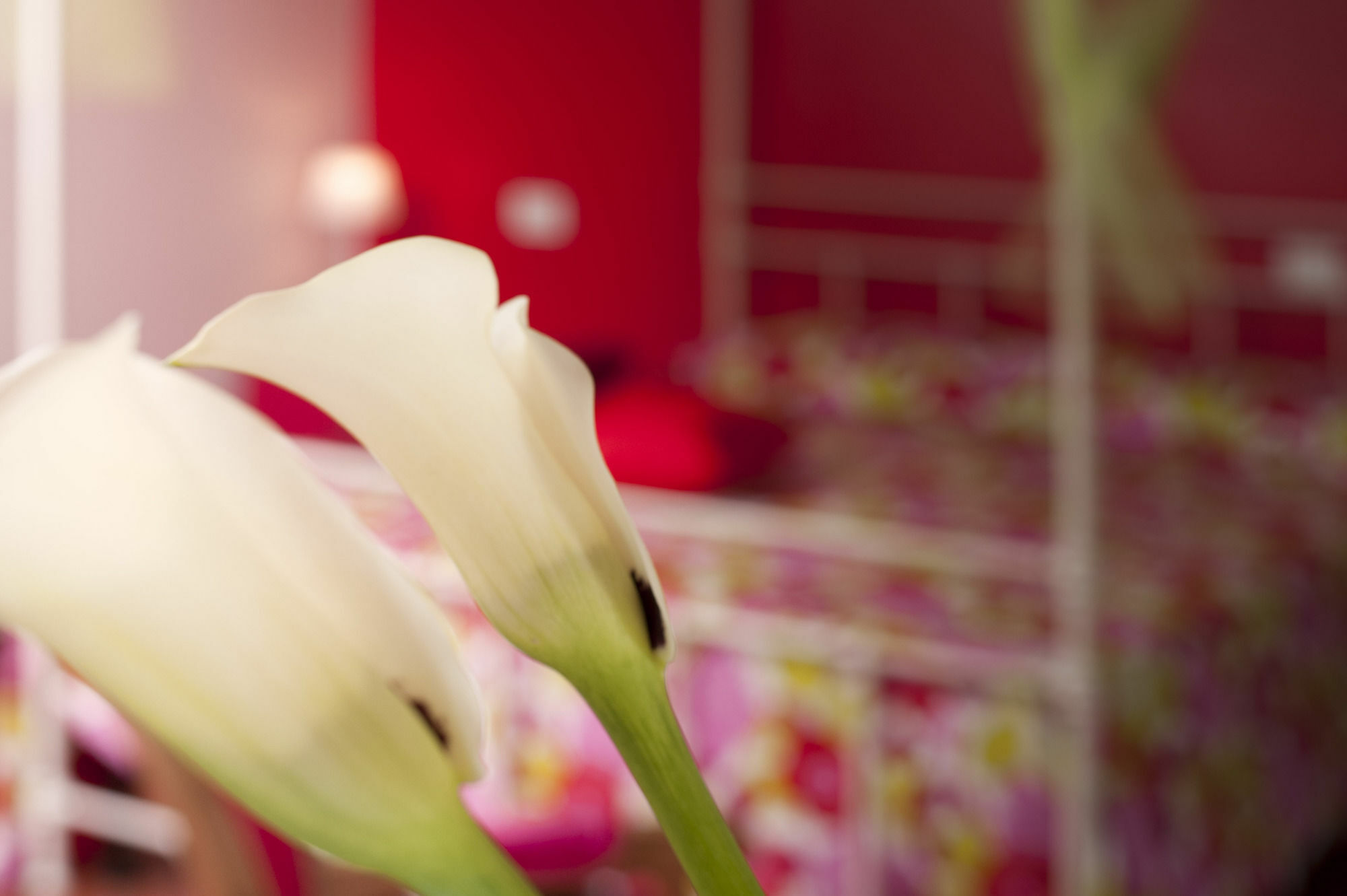 Bed and Breakfast Antico Granaione Rapolano Terme Exteriér fotografie